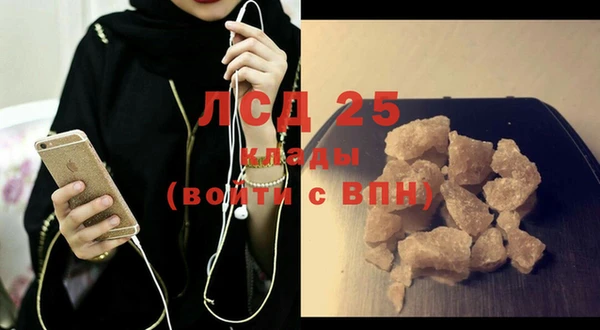 сатива Дмитриев
