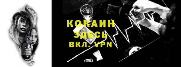 хмурый Дмитров