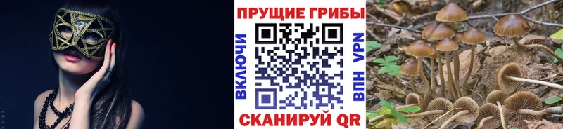 Псилоцибиновые грибы ЛСД  где найти наркотики  Малоархангельск 